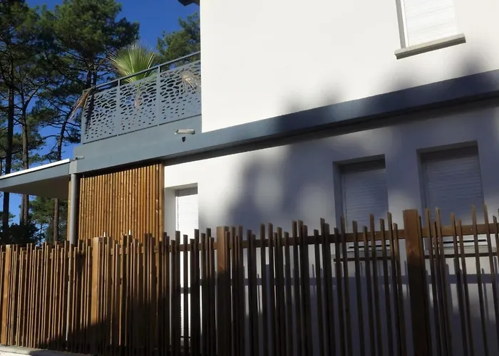 Dune Blanche-1 By Interhome Ferienhaus Seignosse